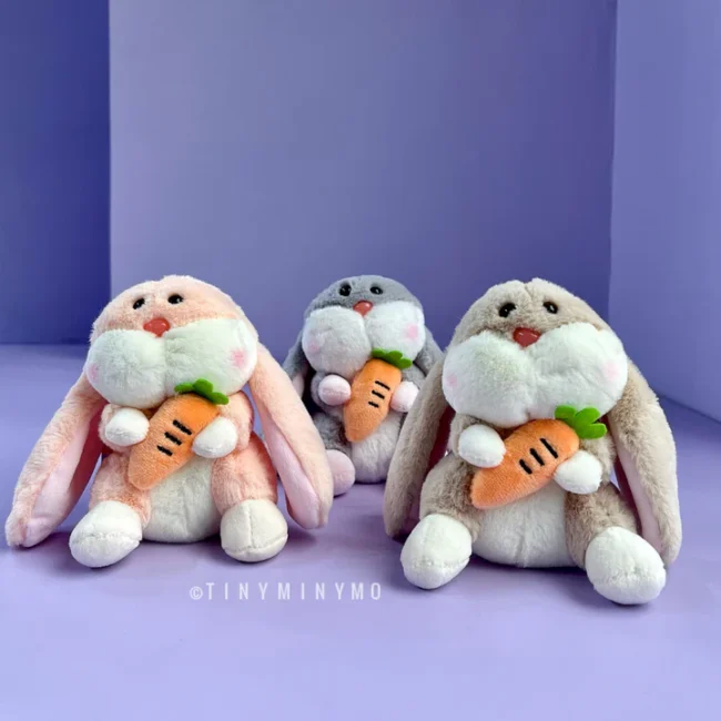 Plush-Bunny-With-Carrot-Keychain-5_2245407e-8d36-4040-8d60-0652af1fec4e Plush-Bunny-With-Carrot-Keychain-5_2245407e-8d36-4040-8d60-0652af1fec4e