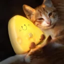 Smiling-Cheese-Shaped-Night-Light-4