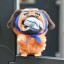 imgi_20_O1CN01iK93N81bPMHSEezz9__2215509703457-0-cib